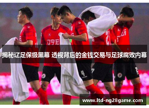 揭秘辽足保级黑幕 透视背后的金钱交易与足球腐败内幕