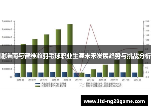 谢浩南与曾维瀚羽毛球职业生涯未来发展趋势与挑战分析