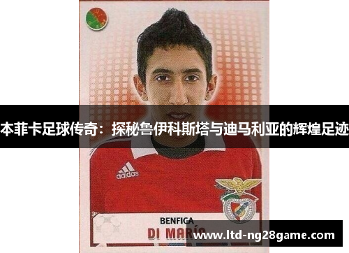 本菲卡足球传奇：探秘鲁伊科斯塔与迪马利亚的辉煌足迹