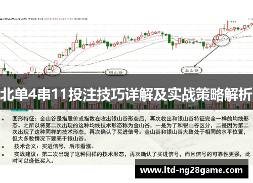 北单4串11投注技巧详解及实战策略解析