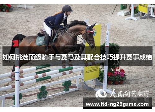 如何挑选顶级骑手与赛马及其配合技巧提升赛事成绩
